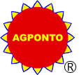 Agponto